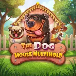 The Dog House Multihold game at Marvel Casino for Australian players The Dog House Multihold game at Marvel Casino for Australian players
